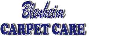 Client Profile for Blenheim Carpet Care by iBeFound