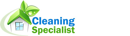 Client Profile For Cleaning Specialist By IBeFound Digital Marketing Division NZ